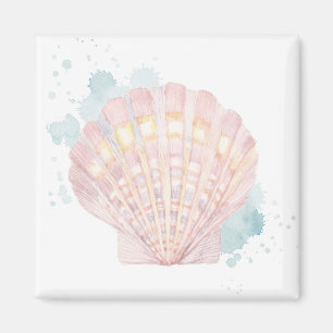 Aimant Coquille côtière du Salento