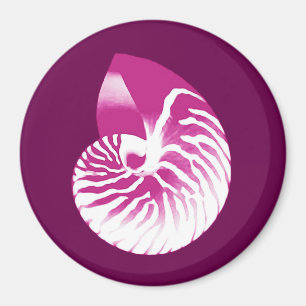 Aimant Coquille de Nautilus - aubergine violet et blanc