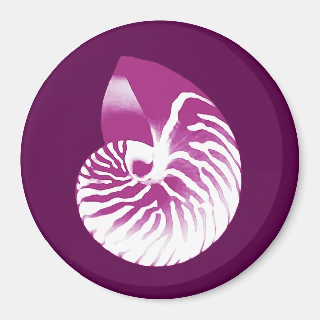 Aimant Coquille de Nautilus - aubergine violet et blanc (Devant)