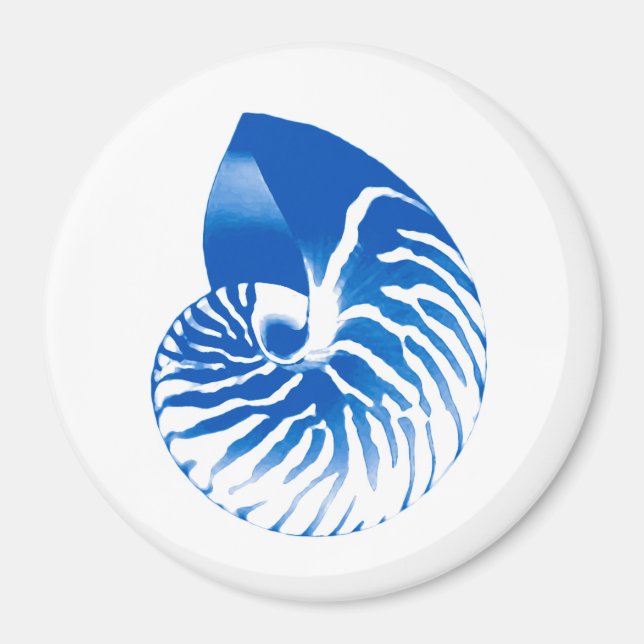 Aimant Coquille de Nautilus - bleu cobalt et blanc (Devant)