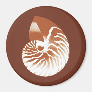 Aimant Coquille de Nautilus - cacao brun et blanc