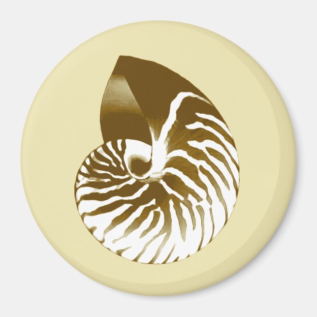 Aimant Coquille de Nautilus - marron, blanc et beige (Devant)