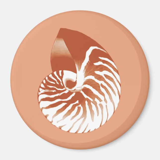 Aimant Coquille de Nautilus - terre cuite et blanc (Devant)