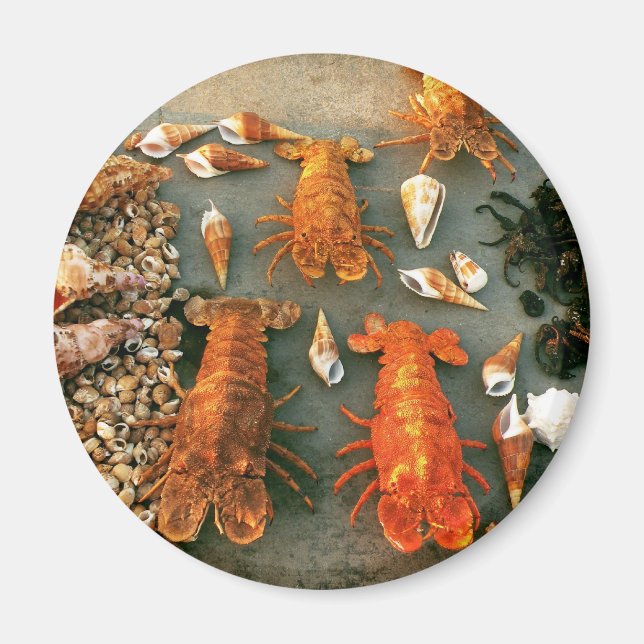 Aimant Coquilles (Devant)