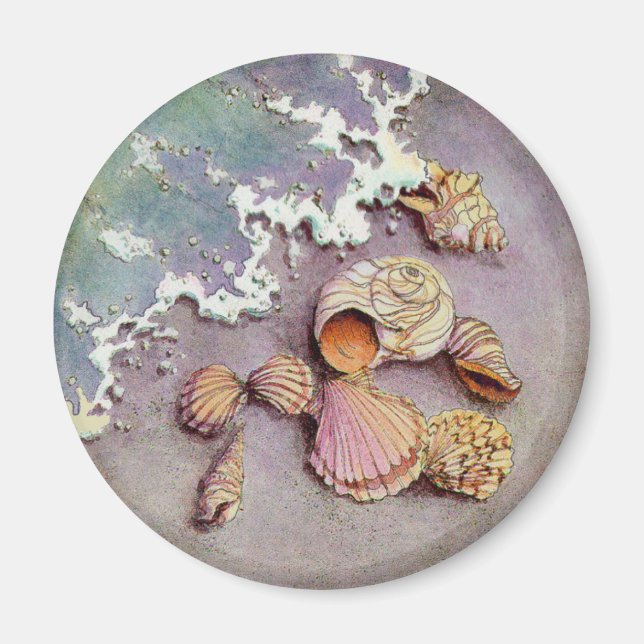 Aimant COQUILLES MARINES par SHARON SHARPE (Devant)