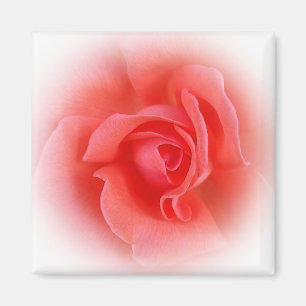 Aimant corail rose rose