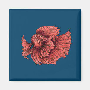 Aimant Coral Siamese combat le poisson