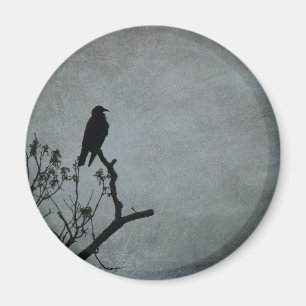 Aimant Corbeau
