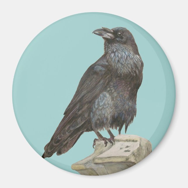 Aimant Corbeau (Devant)