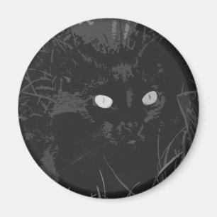Aimant corbeau
