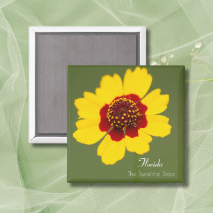 Aimant Coreopsis Tickweed de Floride