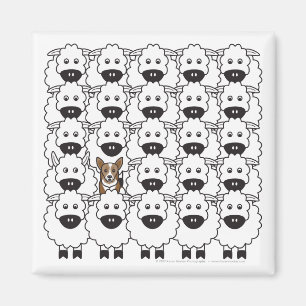 Aimant Corgi chez les moutons