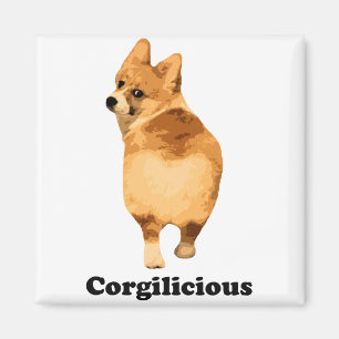 Aimant Corgilious