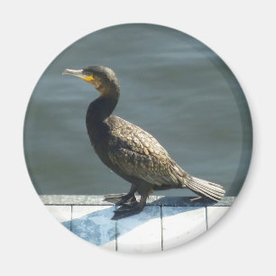Aimant Cormorant