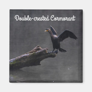 Aimant Cormorant à aigrettes