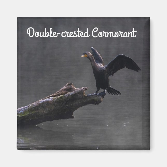 Aimant Cormorant à aigrettes (Devant)
