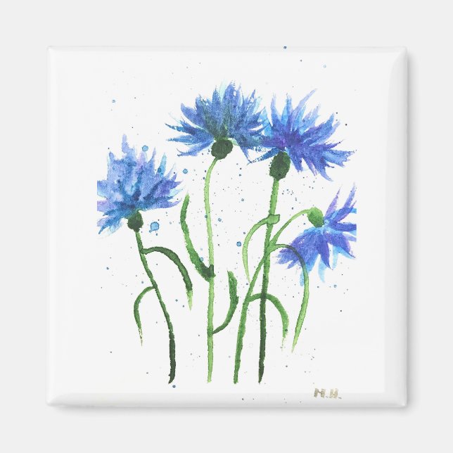 Aimant Cornflowers blue flowers watercolor (Devant)