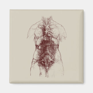 Aimant corps intérieur