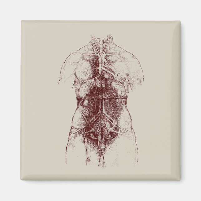 Aimant corps intérieur (Devant)