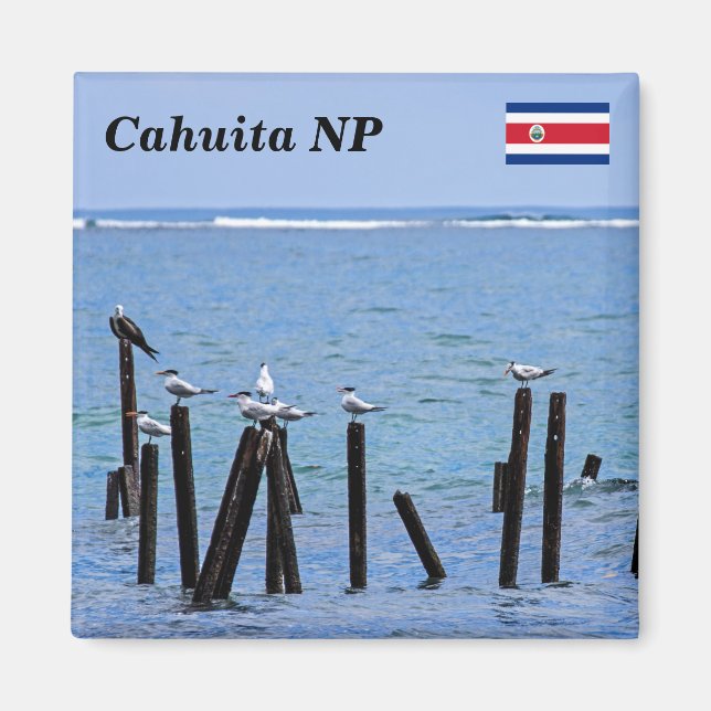 Aimant Costa Rica, Parc national de Cahuita - Royal Terns (Devant)