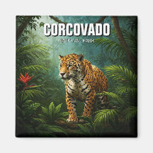 Costa Rica Parc national Voyage Jaguar