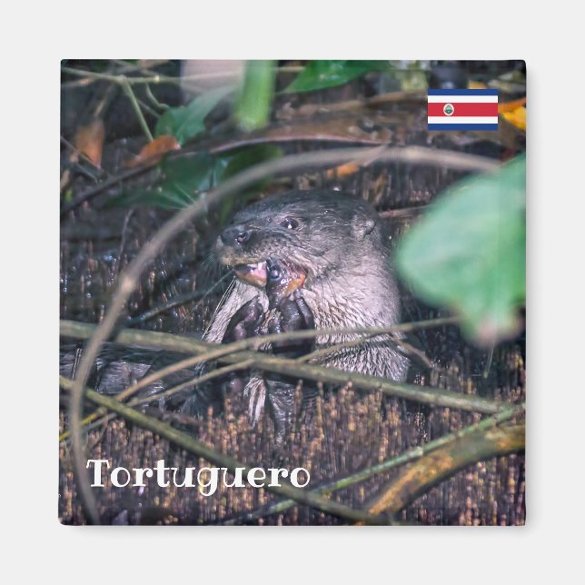 Aimant Costa Rica, Tortuguero - Poisson à la louche (Devant)