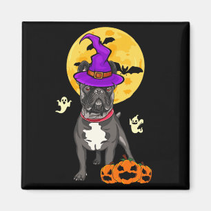Aimant Costume de sorcière d'Halloween pour chien bouledo
