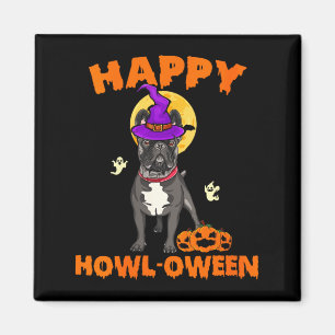 Aimant Costume de sorcière pour femme chien bouledogue fr