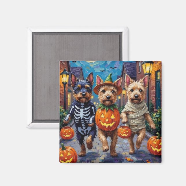Aimant Costume d'Halloween pour chien Cesky Terrier pour  (Recto/Verso)