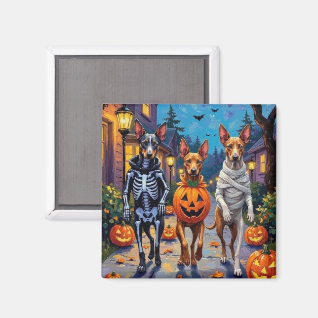 Aimant Costume d'Halloween pour Trick-or-Treat de Ridgeba (Recto/Verso)