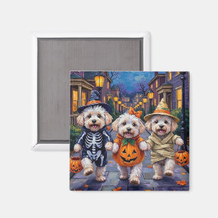 Aimant Costumes d'Halloween Bichon Frise
