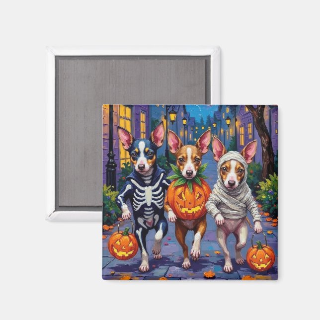 Aimant Costumes d'Halloween de Rat Terrier (Recto/Verso)