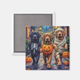 Aimant Costumes d'Halloween pour la tournée des friandise