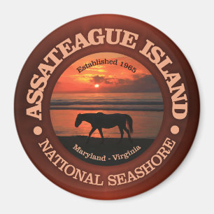 Aimant Côte nationale de l'île Assateague