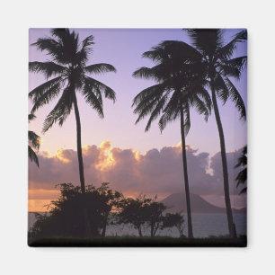 Aimant Côte Saint-Kitts