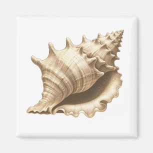 Aimant Coteau/plage/coquillage nautique