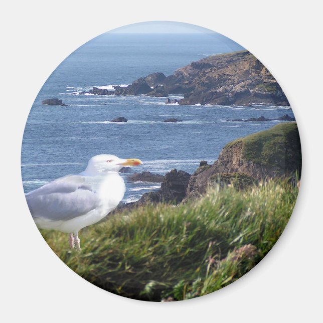 Aimant CôteGode (Devant)