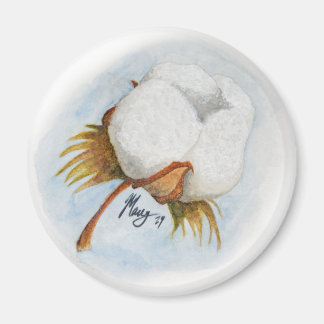 Aimant coton boll 2