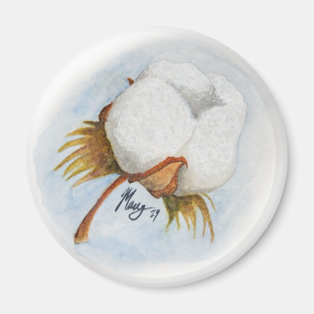 Aimant coton boll 2 (Devant)