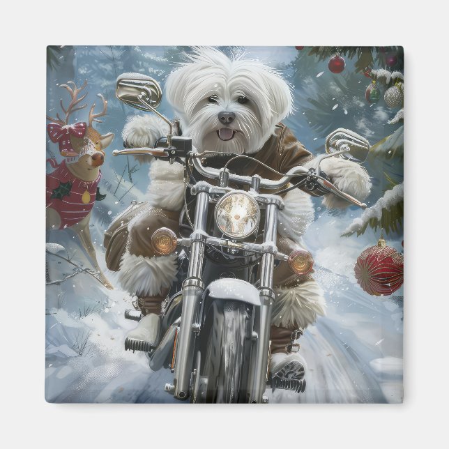 Aimant Coton De Tulear Chien équitation Moto Noël (Devant)