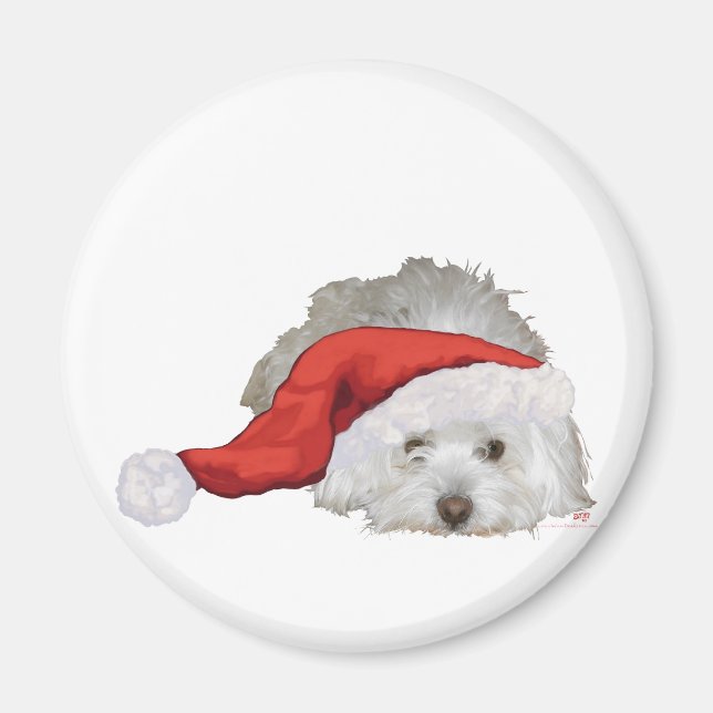 Aimant Coton de Tulear - En attente (Devant)