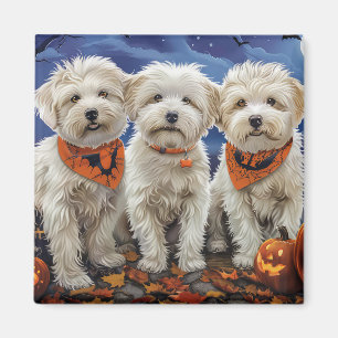 Aimant Coton De Tulear Halloween Éffrayant