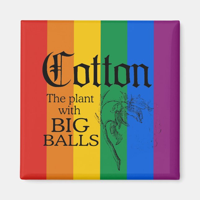 AIMANT COTON : LE PLANTE AVEC DE GRANDES BALLES (Devant)