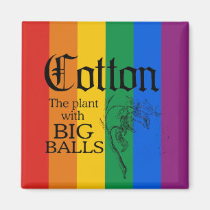 AIMANT COTON : LE PLANTE AVEC DE GRANDES BOULES