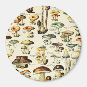 Aimant Cottagecore Champignons Naturaliste Vintage