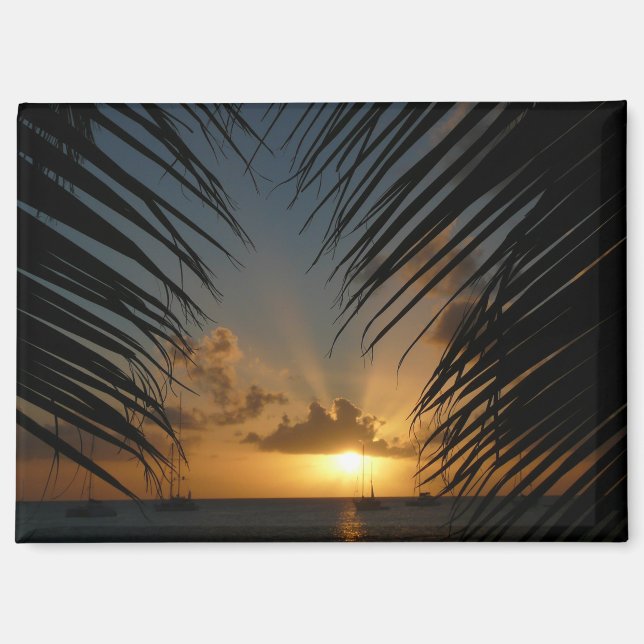 Aimant Coucher de soleil à travers les frondes de palmier (Recto)