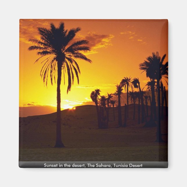 Aimant Coucher de soleil dans le désert, Le Sahara, Déser (Devant)
