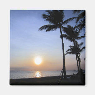 Aimant coucher de soleil de palmiers