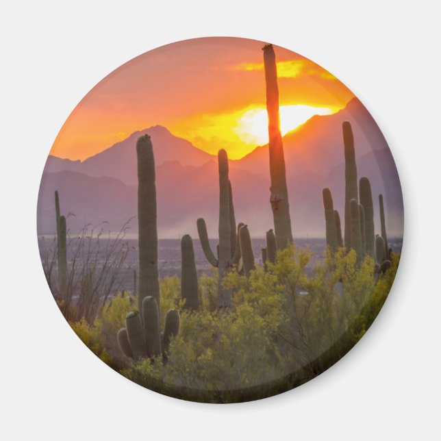 Aimant Coucher de soleil sur cactus du désert, Arizona (Devant)