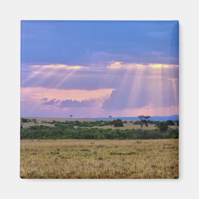 Aimant Coucher de soleil sur le Masai Mara. (Devant)